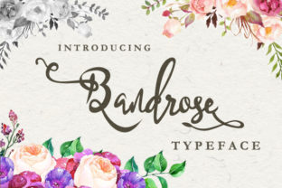 Bandrose Family: A Warm Script Typeface for Campaigns