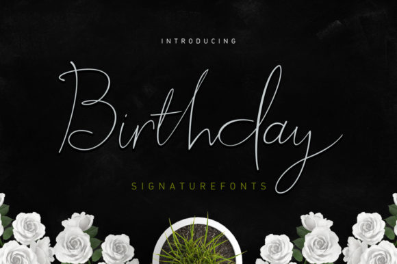 Birthday Script Font for Modern Branding