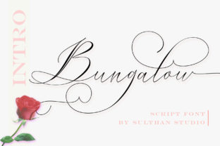 Bungalow Script Font for Warm Branding