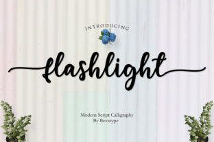 Flashlight Script Font for Modern Business Branding