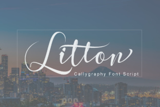 Litton Font for Modern Web Design