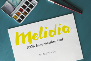 Melidia: A Bold Hand Brushed Typeface for Modern Editors