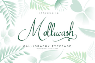 Mollucash Font for Handmade Branding