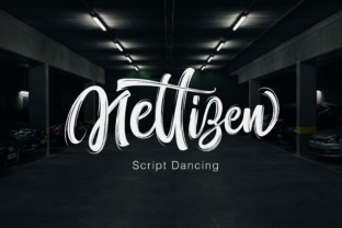 Nettizen: A Modern Brush Font for Authentic Branding