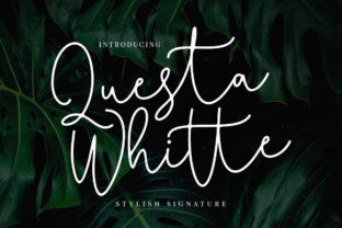 Questa Whitte Script: The Ultimate Handwritten Font Guide