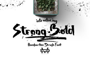 Strong Bold Typeface for Edgy Campaigns